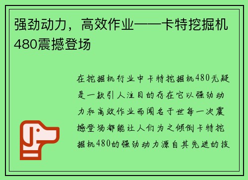 强劲动力，高效作业——卡特挖掘机480震撼登场